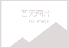 宁夏曼山电讯有限公司